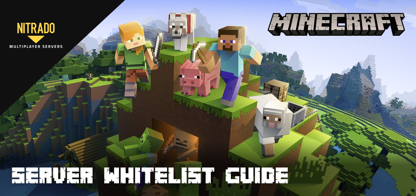 Liste blanche Minecraft - Guide de liste blanche pour serveur