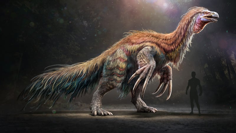 ASA Therizinosaurus
