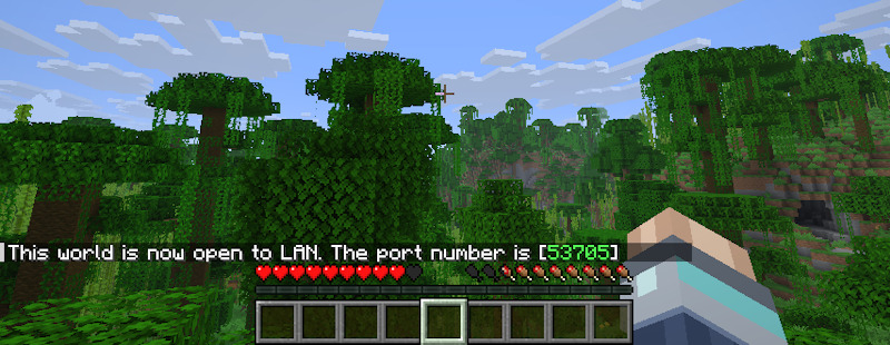 Configurazione server Minecraft per mondo LAN
