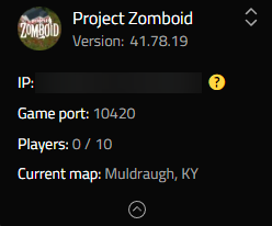 IP Project Zomboid