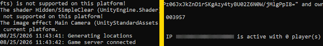Valheim Dedicated Server Konsole