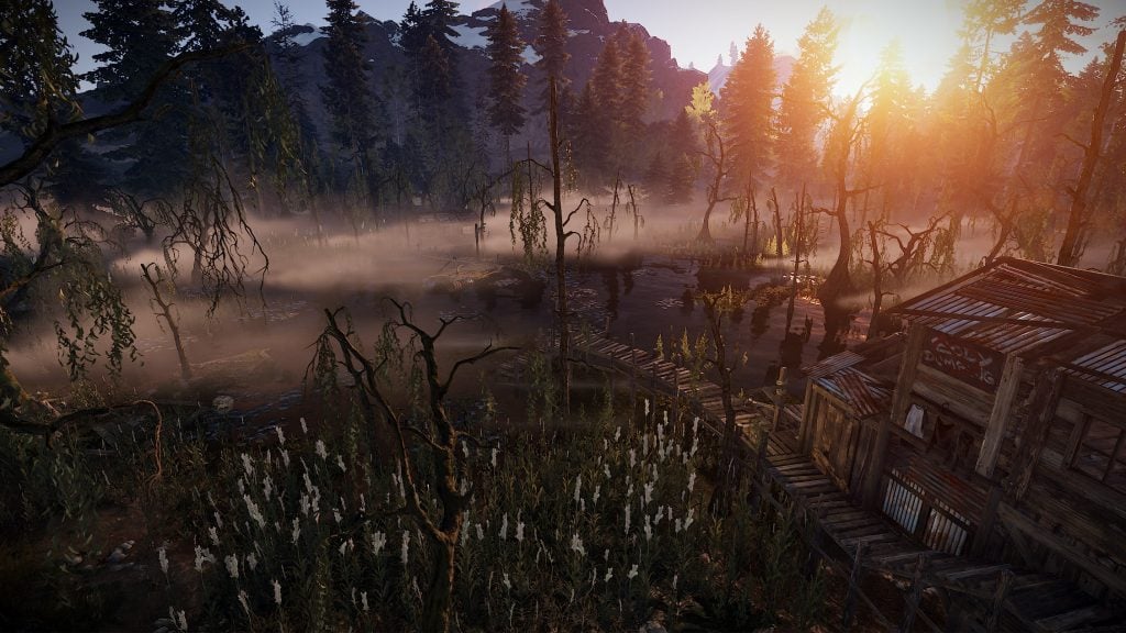 Rust - Swamps and Bandits | NITRADO