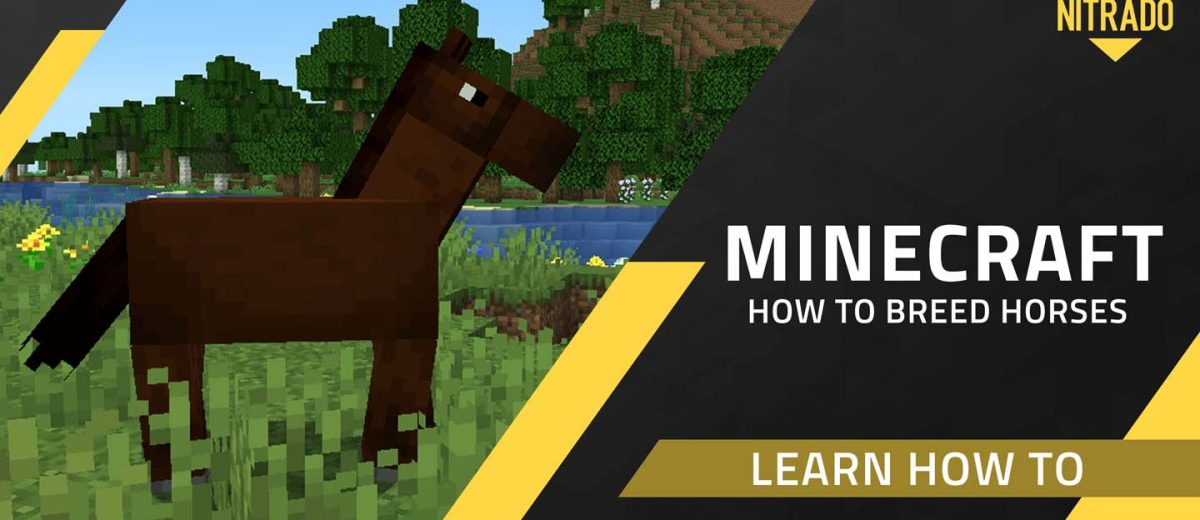 Spieleserver Gameserver Mieten Hosting G nstig Und Sofort NITRADO