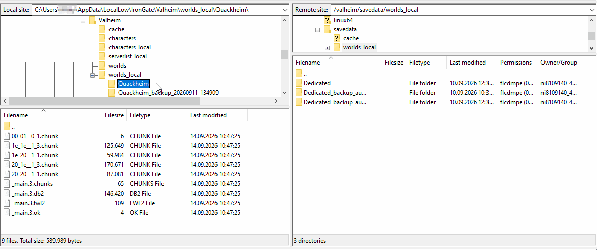Sposta i file di salvataggio tramite FTP