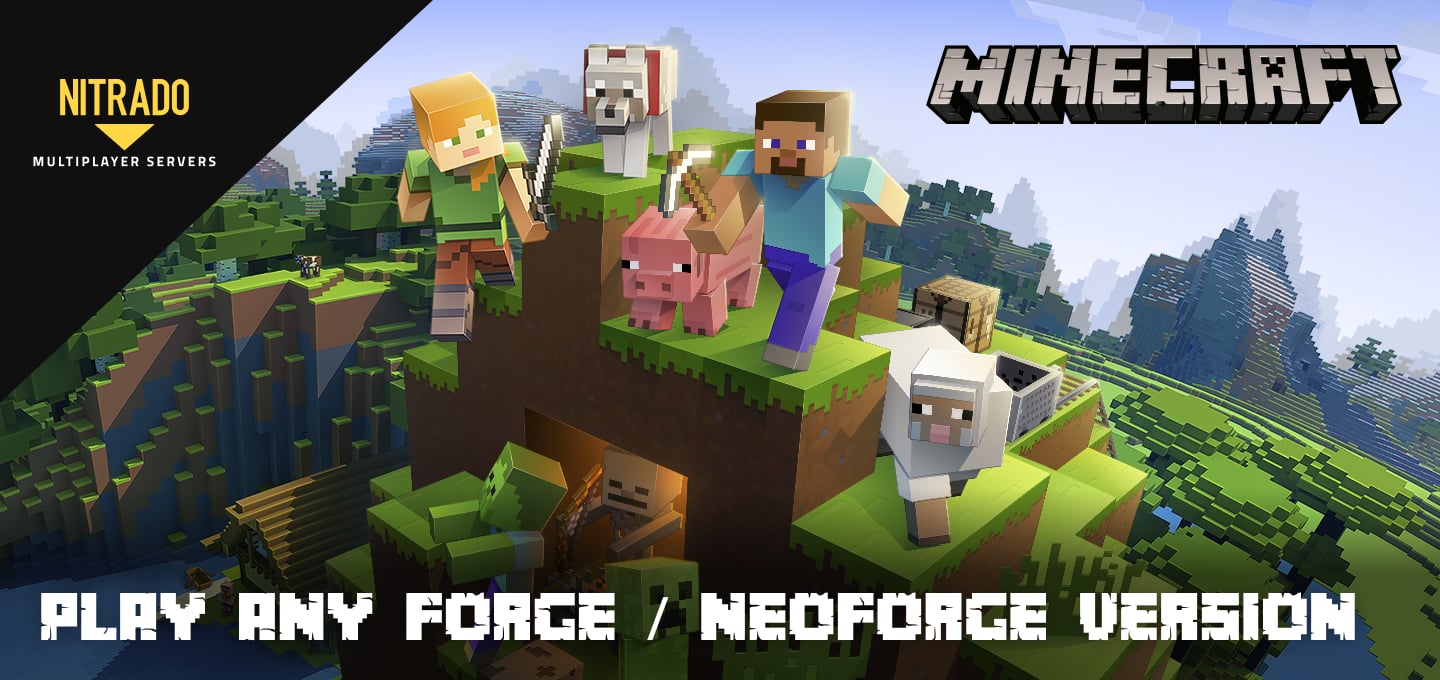 Giocare a qualsiasi versione di Minecraft Server Forge o NeoForge