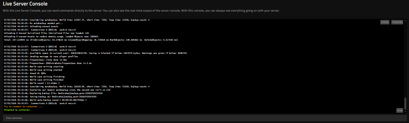 Console Server Live sotto Strumenti nell'interfaccia web di Nitrado