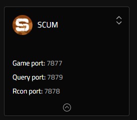 Porte del server SCUM mostrate nella barra laterale della Webinterface Nitrado