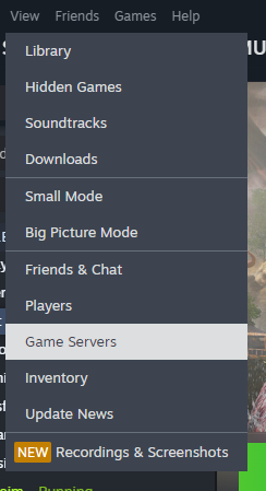 Menu Visualizza di Steam con l'opzione Server evidenziata
