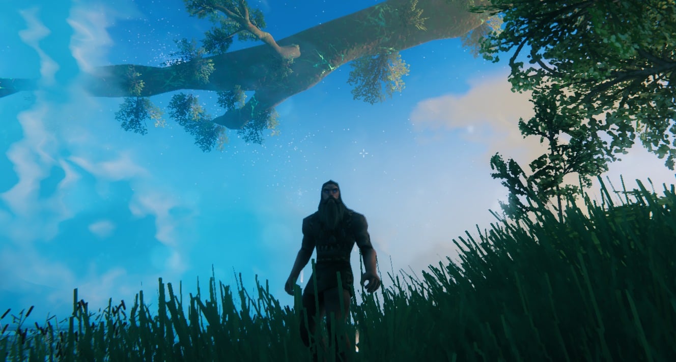Zona d'apparizione di un mondo di Valheim generata da uno seed personalizzato